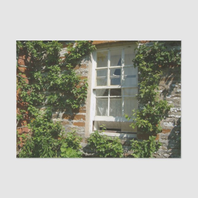 Papier Mousseline Cottage anglais I Charming (Recto)