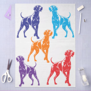 Papier Mousseline Couleur Weimaraner