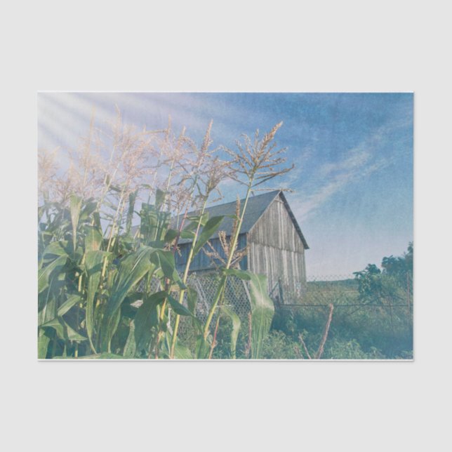Papier Mousseline Country Rustic Grange Blue Sky Sun Rays (Recto)
