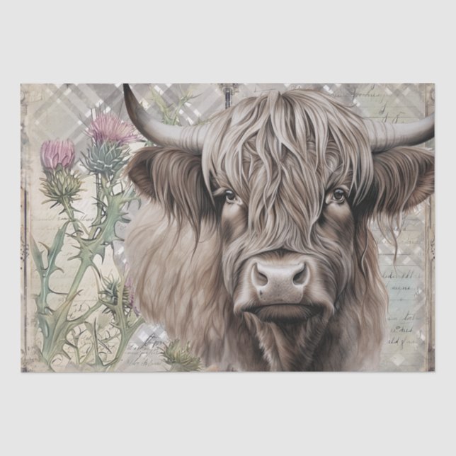 Papier Mousseline Cow Highland Scotland Thistère Aquarelle (Recto)
