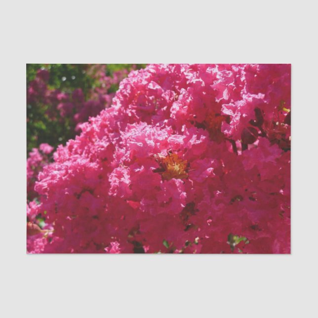 Papier Mousseline Crepe Myrtle Tree Magenta Floral (Recto)