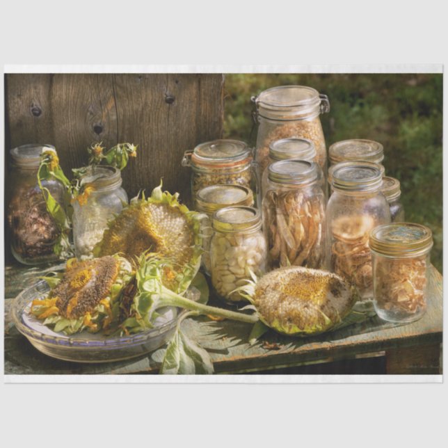 Papier Mousseline Cuisine - Sauver des graines (Recto)