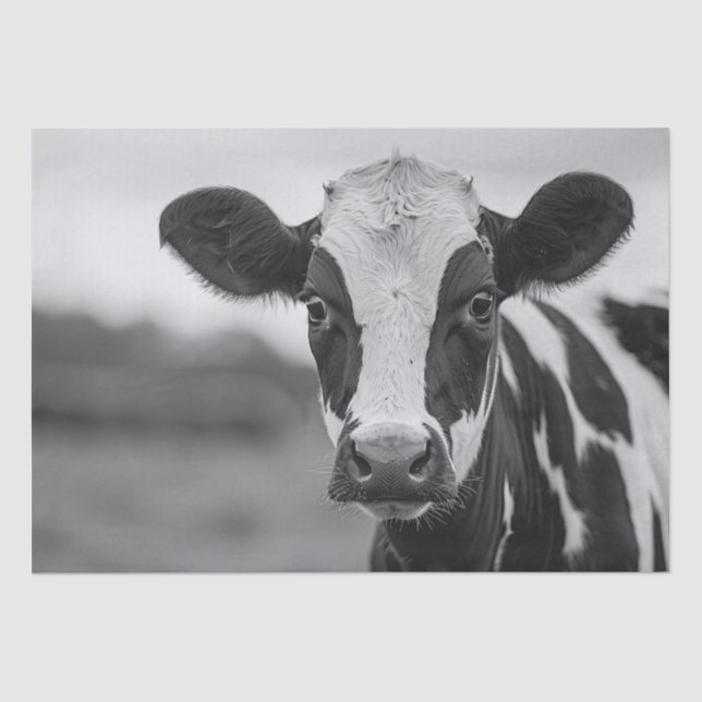Papier Mousseline Curieux Holstein Vache Découpage noir et blanc (Recto)