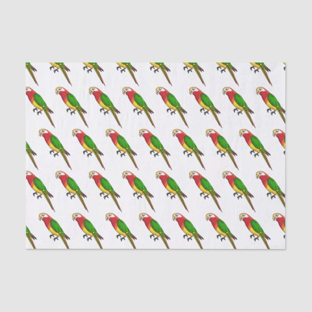 Papier Mousseline Cute happy parrot (Recto)