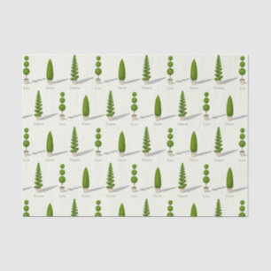 Papier Mousseline Cypress Topiaries personnalisables "Grow Grow Thri