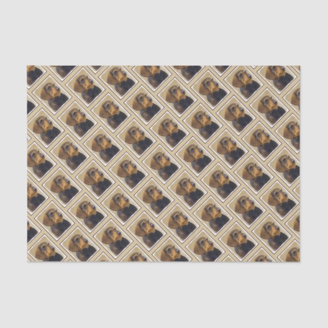 Papier Mousseline Dachshund (À poils durs) Peinture Chien Art origin (Recto)