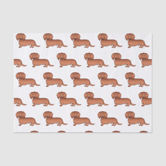 Papier Mousseline Dachshund de dessin animé mignon à poil long rouge (Recto)