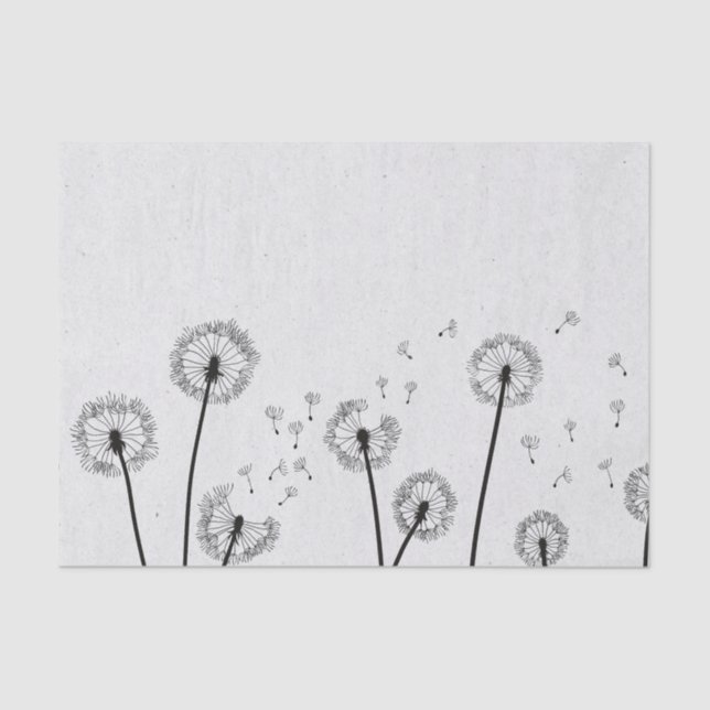 Papier Mousseline Dandelions Fleurs Pappus Spores Gris (Recto)