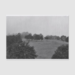 Papier Mousseline De beaux arbres et la nature dans le brouillard