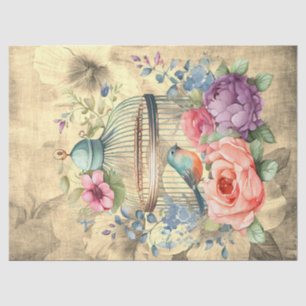 Papier Mousseline Découpage Arrière - plan du parchemin de cage d'oi