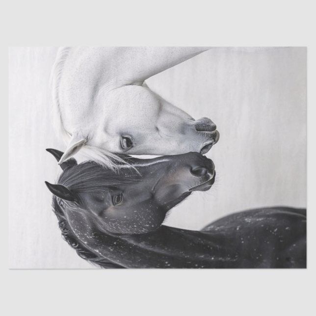 Papier Mousseline Découpage Art Cheval Stallion Noir et Blanc (Recto)