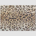 Decoupage Bold Leopard Print Background