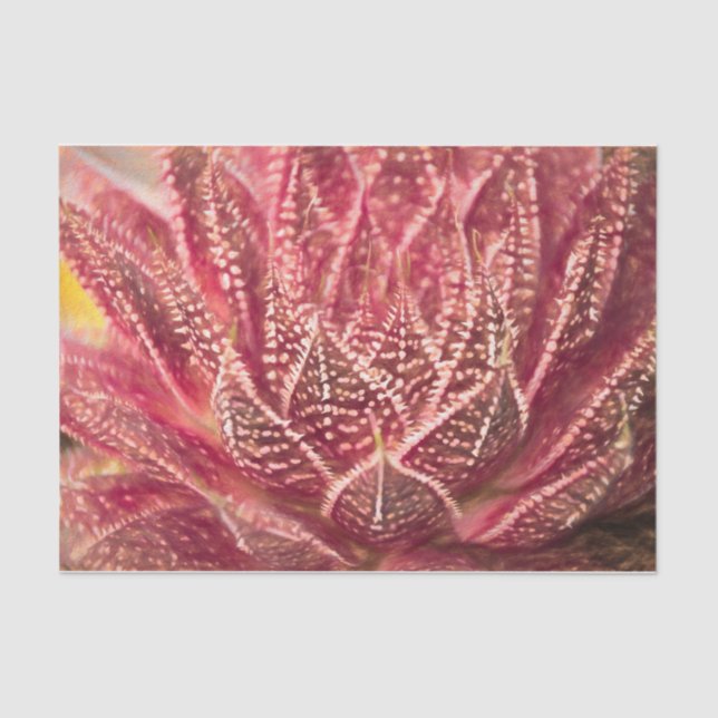 Papier Mousseline Découpage botanique rouge Plante de Cactus success (Recto)