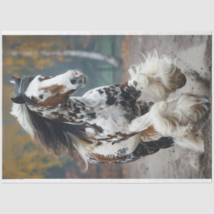 Papier Mousseline Découpage Brown Black Clydesdale Horse