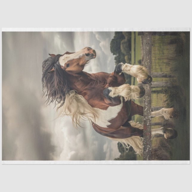 Papier Mousseline Découpage Brown blanc Clydesdale Horse (Recto)