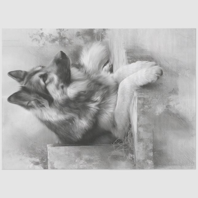 Papier Mousseline Découpage Charcoal German Shepard Portrait (Recto)