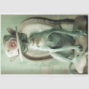 Papier Mousseline Découpage Chic Sphinx Chat sans Cheveux