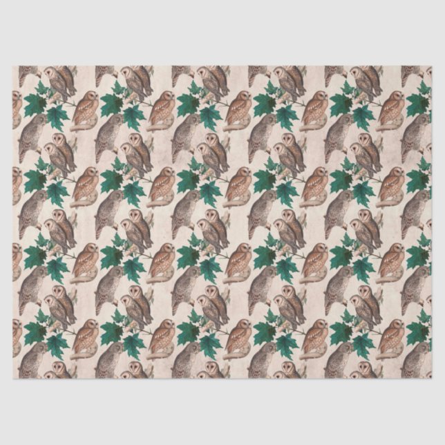 Papier Mousseline Découpage Chouettes et Feuilles (Recto)