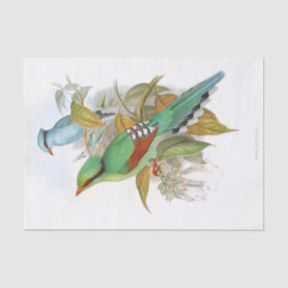 Papier Mousseline Découpage Cissa Venatoria