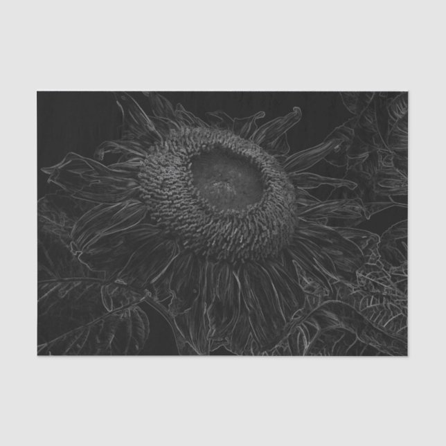 Papier Mousseline Découpage D'Art Floral Noir Et Blanc (Recto)