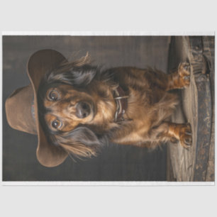 Papier Mousseline Découpage Dashaud la canine Cowboy