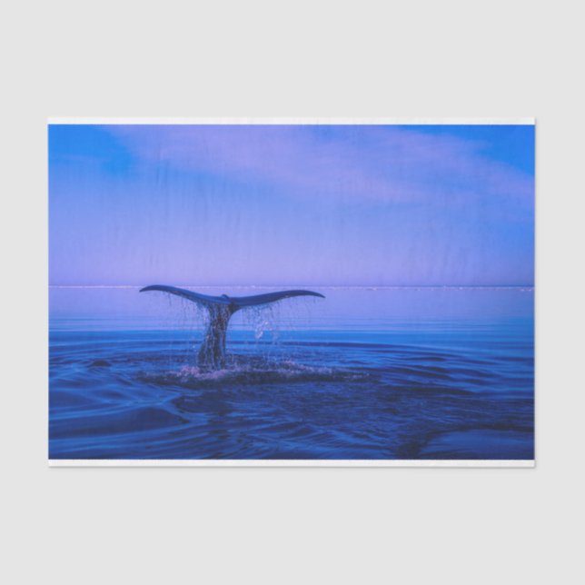 Papier Mousseline Découpage de baleines océaniques (Recto)