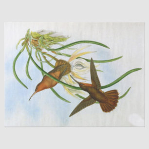 Papier Mousseline Découpage de Bill Hummingbird vintage Orange Grey 