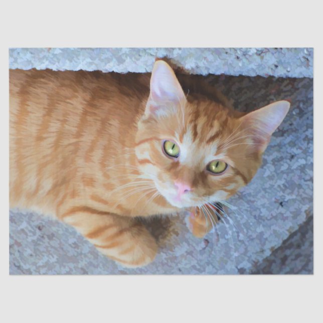 Papier Mousseline Découpage de chat de tabby à cuire orange (Recto)