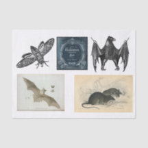 Découpage de collection Halloween