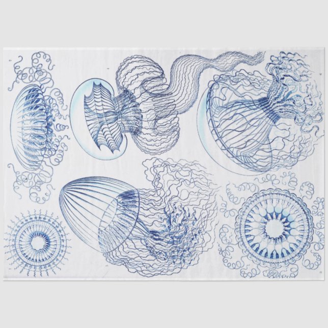 Papier Mousseline Découpage de la méduse bleue (Recto)