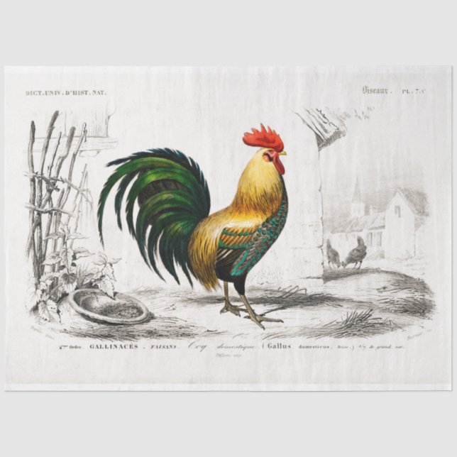Papier Mousseline Découpage de l'Ephémère de coq Poulet de ferme Vin (Recto)