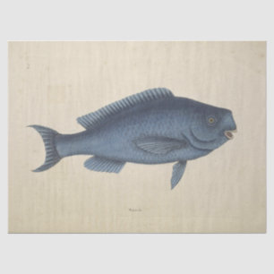 Papier Mousseline Découpage de l'Ephémère de poisson bleu vintage