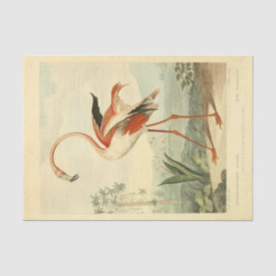 Papier Mousseline Découpage de l'Ephémère du Flamant rose d'oiseaux