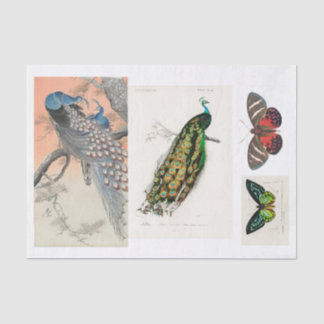 Papier Mousseline Découpage de paon et de papillon