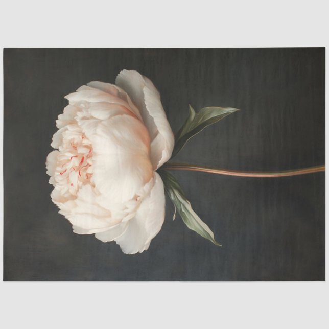 Papier Mousseline Découpage de peinture botanique rose pâle (Recto)
