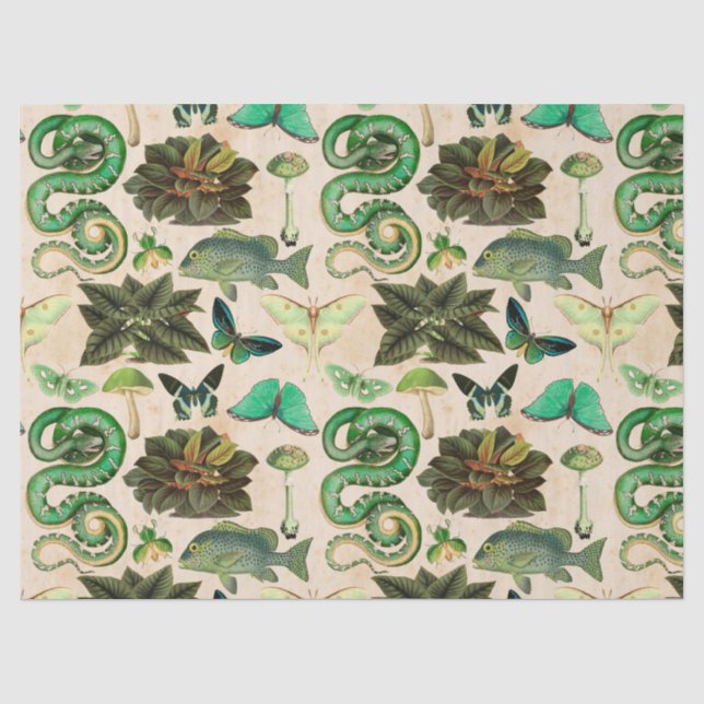 Papier Mousseline Découpage de poisson et de papillon des serpents v (Recto)