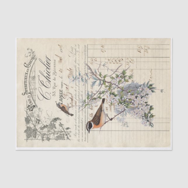 Papier Mousseline découpage de réception d'oiseau français (Recto)