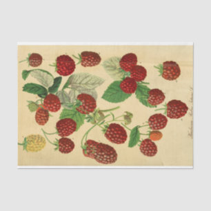 Papier Mousseline Découpage de script de framboise rouge