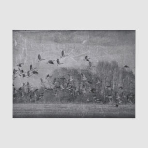 Papier Mousseline Découpage de texture noir et blanc vintage d'oies
