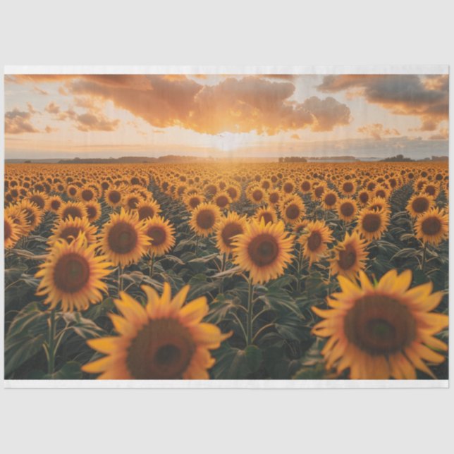 Papier Mousseline Découpage du champ de tournesols (Recto)