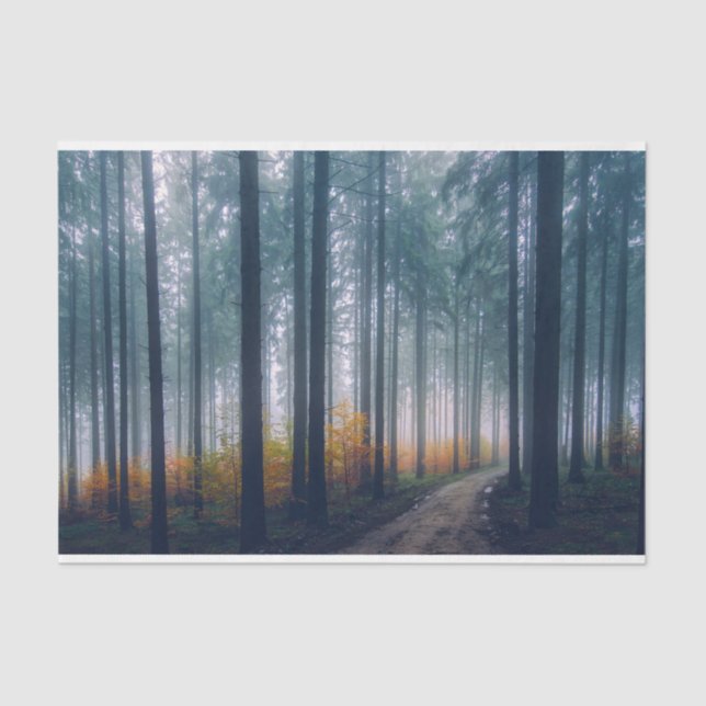 Papier Mousseline Découpage du chemin de la forêt humide (Recto)