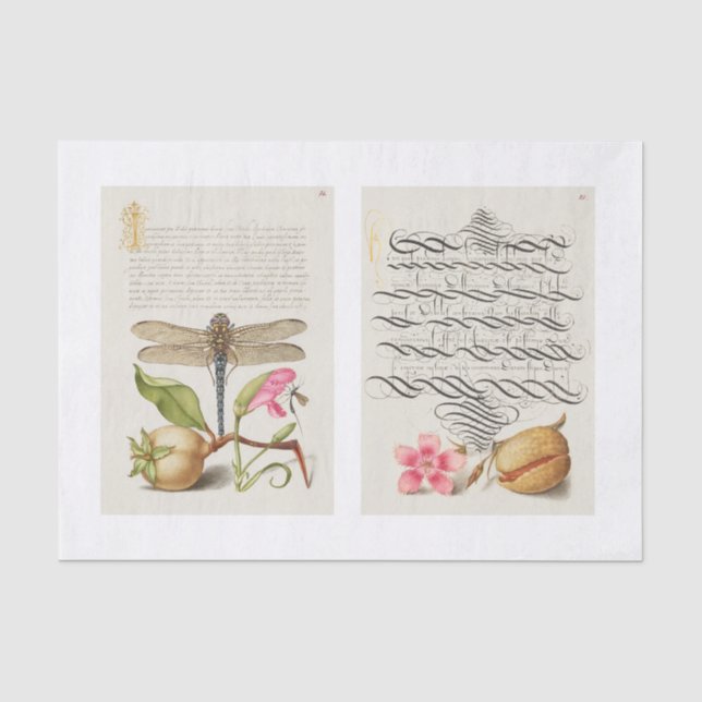 Papier Mousseline Découpage du jardin de calligraphie florale (Recto)