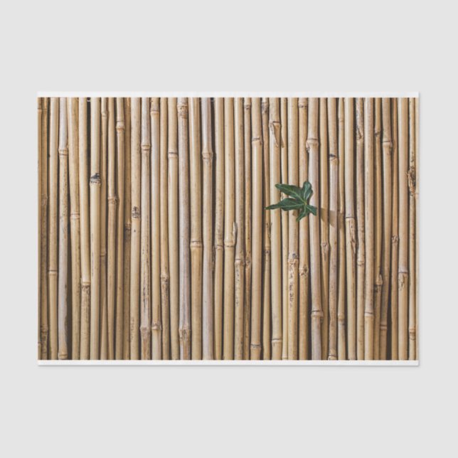 Papier Mousseline Découpage en bambou 19 papier Arrière - plan (Recto)