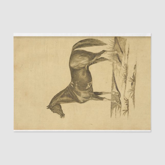 Papier Mousseline Découpage Ephémère Cheval vintage (Recto)