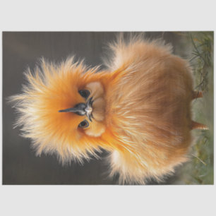 Papier Mousseline Découpage Fluffy Bright Orange Bird