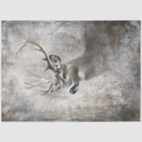 Découpage Les Chasseurs De Cerfs Rêvent Faune Maje