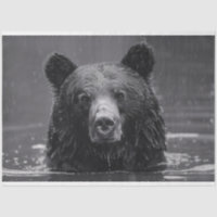 Découpage noir et blanc de l'ours mignon