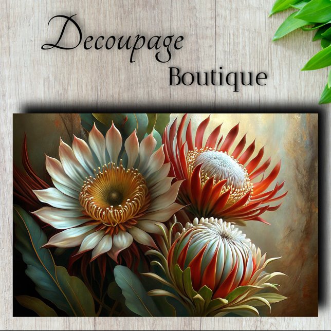 Papier Mousseline Découpage Royal Protea Dreams (Royal Protea Dreams Decoupage Tissue Paper)