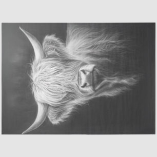 Papier Mousseline Découpage Shaggy Highland Cow Arrière - plan noir