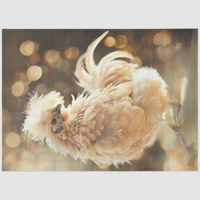 Papier Mousseline Découpage Silkie Showgirl Poulet Fluffy Plumy (Recto)
